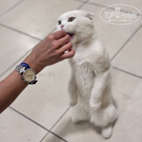 фото из отзыва ID 2731578