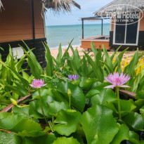 фото из отзыва ID 2732354