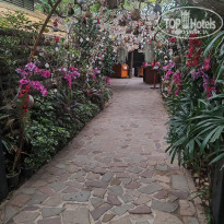 фото из отзыва ID 2732354