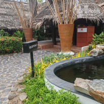 фото из отзыва ID 2732354