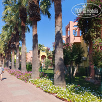 фото из отзыва ID 2732384