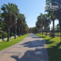 фото из отзыва ID 2732384