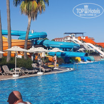 фото из отзыва ID 2732384