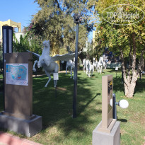 фото из отзыва ID 2732384