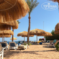 фото из отзыва ID 2732402