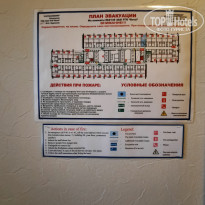 фото из отзыва ID 2732403