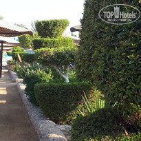 фото из отзыва ID 2732412