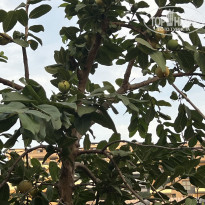 фото из отзыва ID 2732413