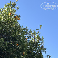 фото из отзыва ID 2732413