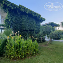 фото из отзыва ID 2732419