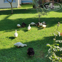 фото из отзыва ID 2732419