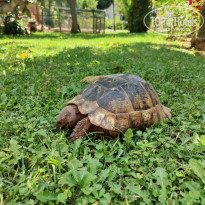 фото из отзыва ID 2732419