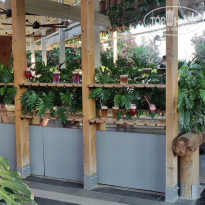 фото из отзыва ID 2732419