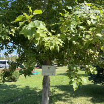 фото из отзыва ID 2732433