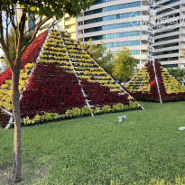 фото из отзыва ID 2732433