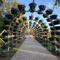 фото из отзыва ID 2732433