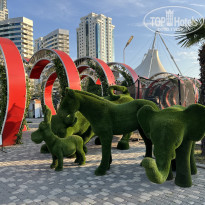 фото из отзыва ID 2732433