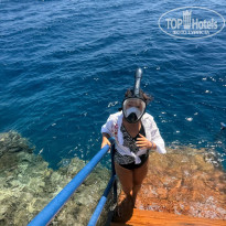 фото из отзыва ID 2732436