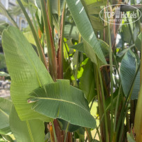 фото из отзыва ID 2732469