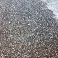 фото из отзыва ID 2732470