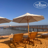 фото из отзыва ID 2732448