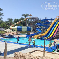 фото из отзыва ID 2732480