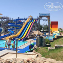 фото из отзыва ID 2732480