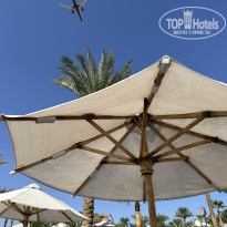 фото из отзыва ID 2732482