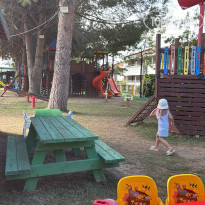 фото из отзыва ID 2732483