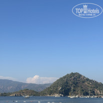 фото из отзыва ID 2732498