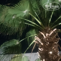 фото из отзыва ID 2732507