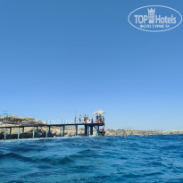 фото из отзыва ID 2732507