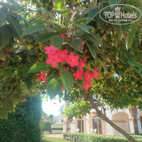 фото из отзыва ID 2732507