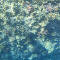 фото из отзыва ID 2732507