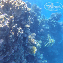 фото из отзыва ID 2732507