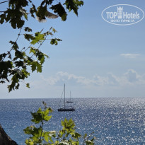 фото из отзыва ID 2732508