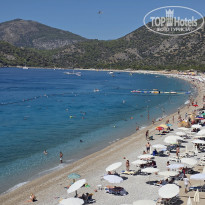 фото из отзыва ID 2732508