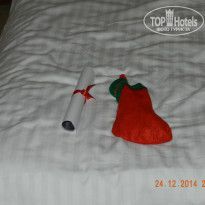 фото из отзыва ID 2732521