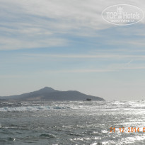 фото из отзыва ID 2732521