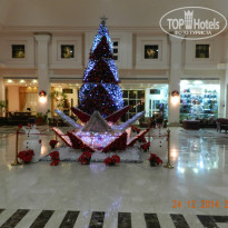 фото из отзыва ID 2732521