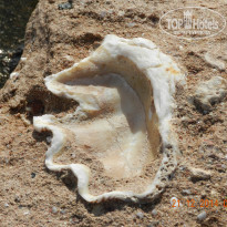 фото из отзыва ID 2732521