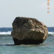 фото из отзыва ID 2732521