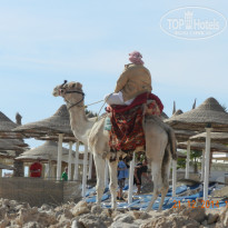 фото из отзыва ID 2732521