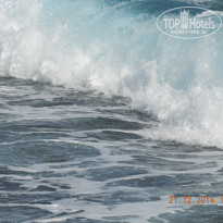 фото из отзыва ID 2732521