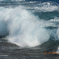 фото из отзыва ID 2732521