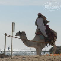 фото из отзыва ID 2732521