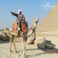 фото из отзыва ID 2732521