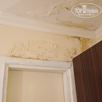 фото из отзыва ID 2732529