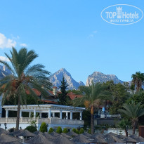 фото из отзыва ID 2732530