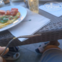 фото из отзыва ID 2732526